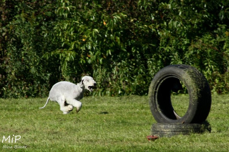 2010-10-03 Coursing-Training GE (17).jpg